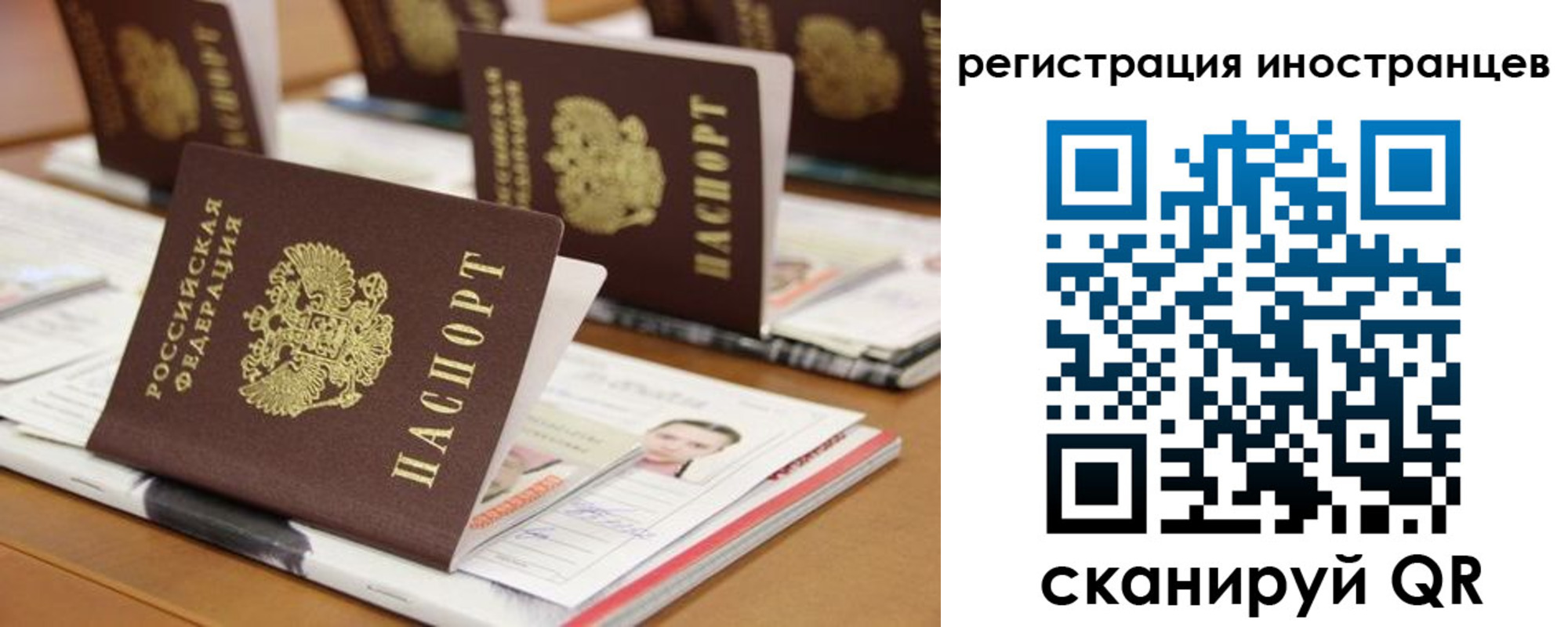 прописка для работы в Белой Холунице